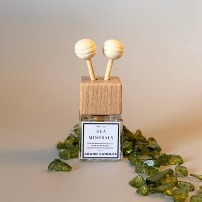 Sea Minerals Car Diffuser