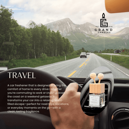 Peach Nectar Car Diffuser