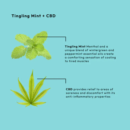 BCL Spa - Tingling Mint - Moisture Mask