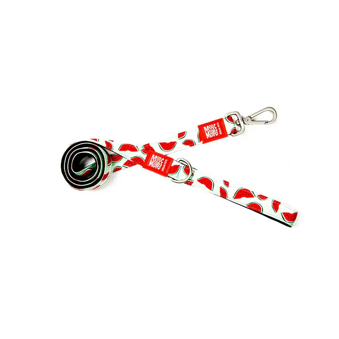 Max & Molly Watermelon Dog Leash Stylish Pattern Medium